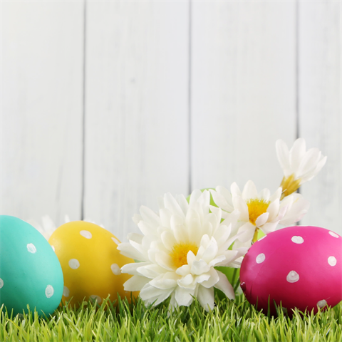 Easter flowers and coloured eggs.png