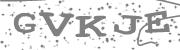Type the letters in the image or Type the first letter of the words spoken in the audio.