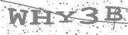 Type the letters in the image or Type the first letter of the words spoken in the audio.