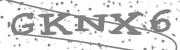 Type the letters in the image or Type the first letter of the words spoken in the audio.