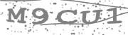 Type the letters in the image or Type the first letter of the words spoken in the audio.