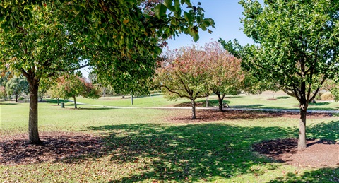 20230404 Landscapes Broadmeadows (8).jpg