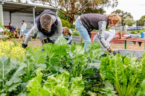 Craigieburn - Community Garden-5-website-900x600.jpg