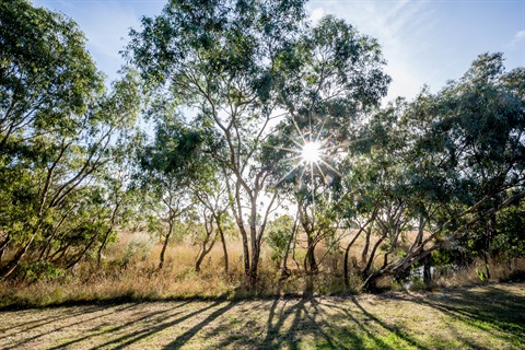 Hume City Council - Landscapes (Craigieburn)-33.jpg