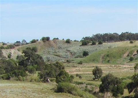 Western Avenue Photo.jpg