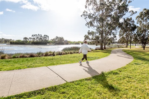 Photograph of a person walking on a curved concrete path beside Craigieburn lake. Bright sunlight breaks through scattered trees casting long shadows.