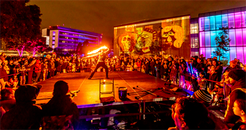 Winter Lights 2023.PNG