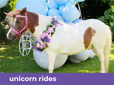 unicorn with flowers and balloons in the background