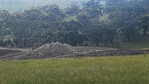 A landscape with long grass in the foreground, piles of soil with trees in the background.