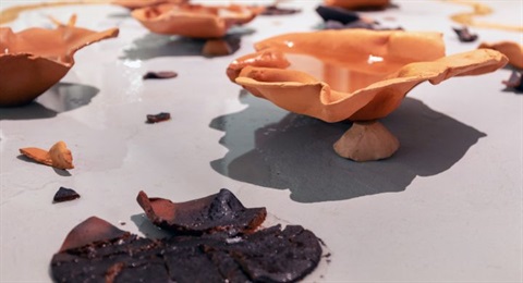 Minadi Gajaman Kankanamge.jpg