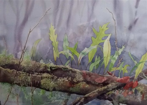 image of The Colour of Water Exhibition