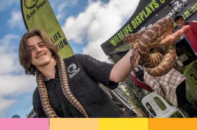 Craigieburn-Festival-2026-reptile.png