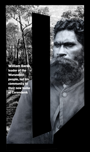 William Barak by Jacqui Wandin and Coree Thorpe