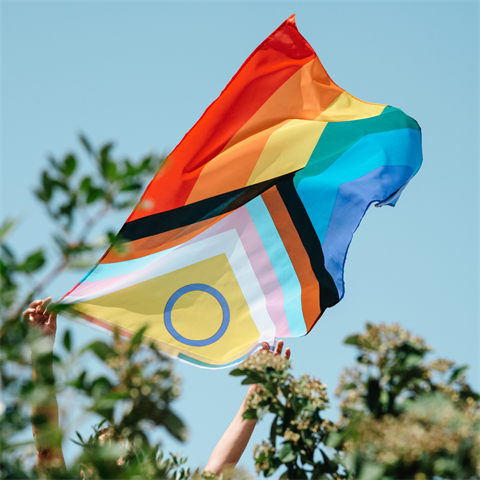 IDAHOBIT LGBTQIA+ Flag