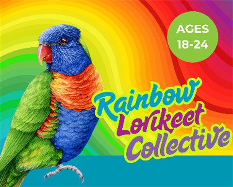 a rainbow lorikeet bird on a vibrant rainbow background with text 