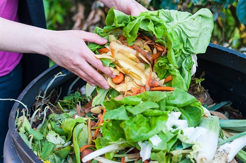 Close up of woman's hands putting compost in bin.jpg